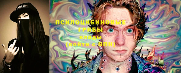 молекула духа Алексин